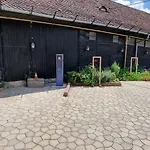 Pensiunea Luiza Guest house Brasov