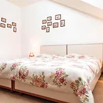 Pensiunea Luiza Guest house