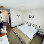 Pensiunea Luiza Guest house 3*