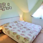Pensiunea Luiza Guest house