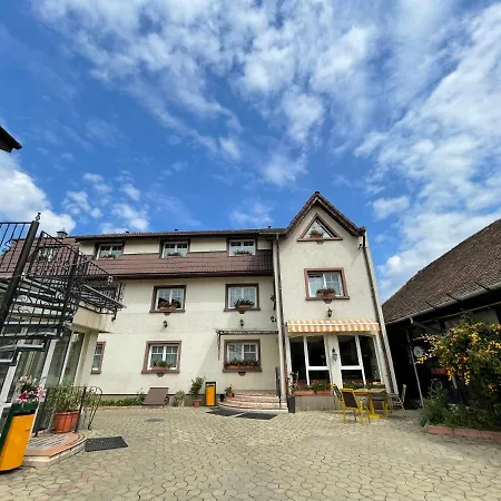 Гостьовий будинок Pensiunea Luiza Брашов