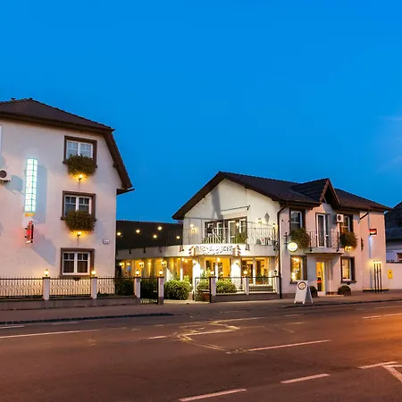 Pensiunea Luiza Гостьовий будинок 3*