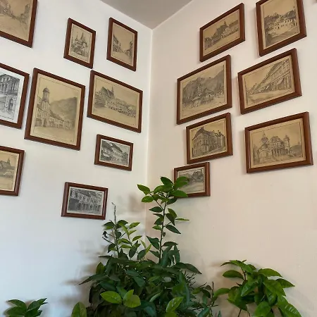 Pensiunea Luiza Πανσιόν Μπρασόβ