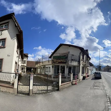 Pensiunea Luiza 3* Брашов