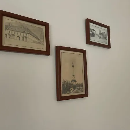 Vendégház Pensiunea Luiza 3*