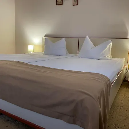 Guest house Pensiunea Luiza