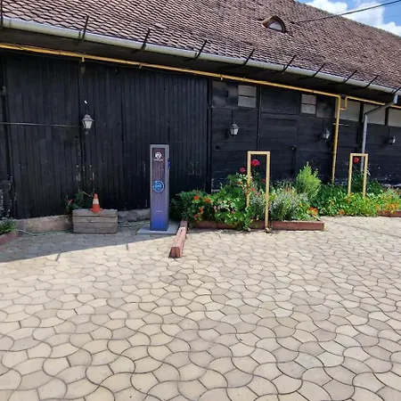 Pensiunea Luiza Гостьовий будинок Брашов