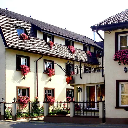 בית הארחה Pensiunea Luiza 3*