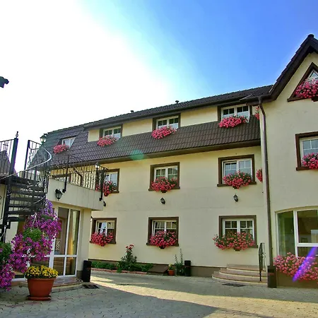 Гостьовий будинок Pensiunea Luiza Брашов