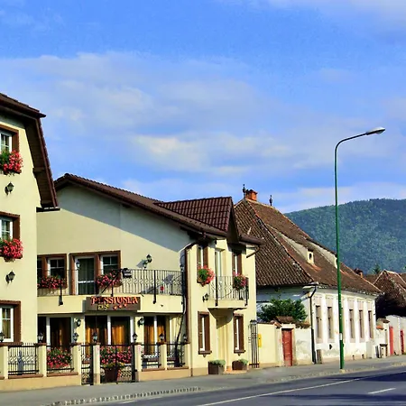 Pensiunea Luiza בראשוב