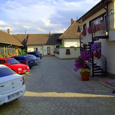 Πανσιόν Pensiunea Luiza 3*