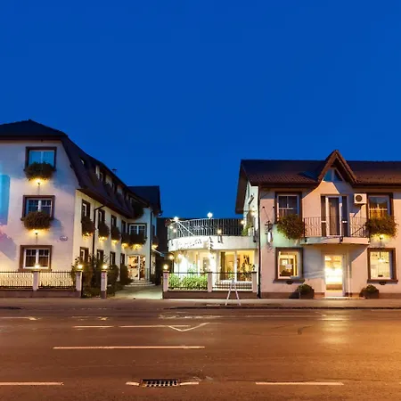 Pensiunea Luiza Гостьовий будинок 3*