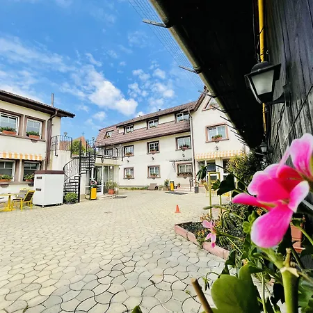 Pensiunea Luiza בראשוב