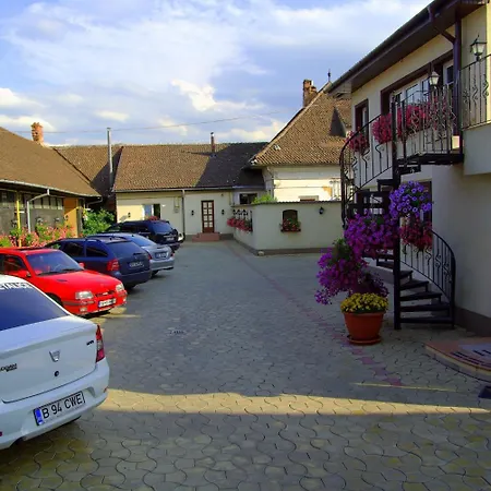 Гостьовий будинок Pensiunea Luiza Брашов