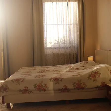 Pensiunea Luiza Μπρασόβ