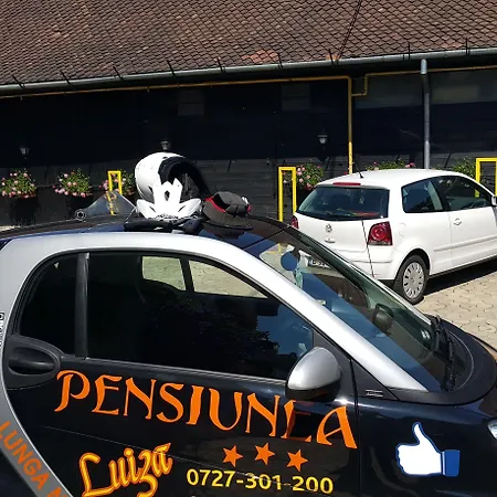 Pensiunea Luiza