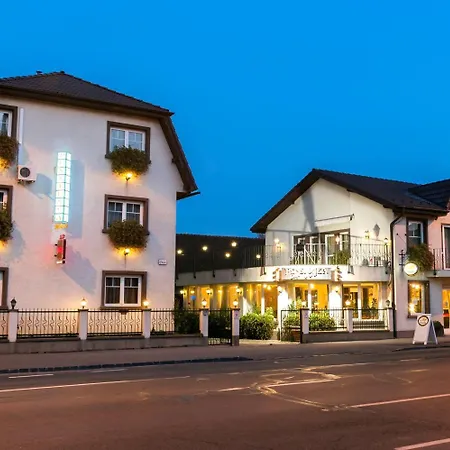 Πανσιόν Pensiunea Luiza 3*