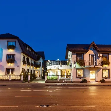 Гостьовий будинок Pensiunea Luiza Брашов