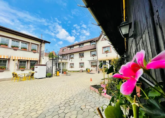 Pensiunea Luiza Guest house 3*