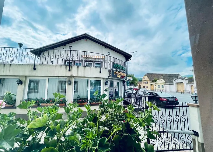 Pensiunea Luiza بيت ضيافة 3*