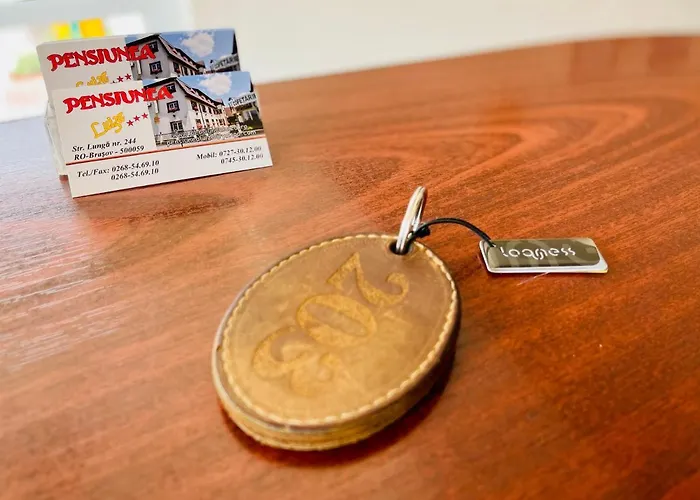 Pensiunea Luiza Guest house Brasov