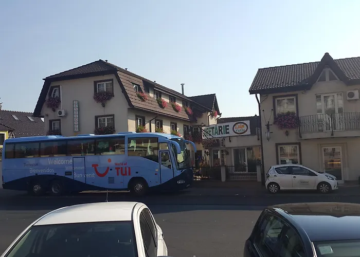 بيت ضيافة Pensiunea Luiza 3*