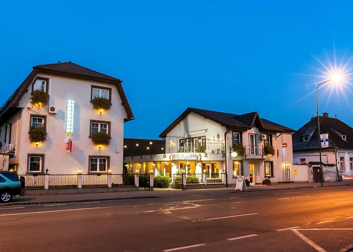 Pensiunea Luiza Pensionat 3*