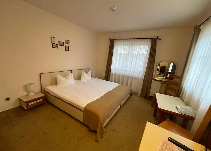 Pensiunea Luiza Maison d'hôtes Braşov