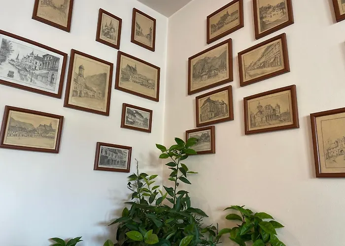 Pensiunea Luiza בית הארחה בראשוב