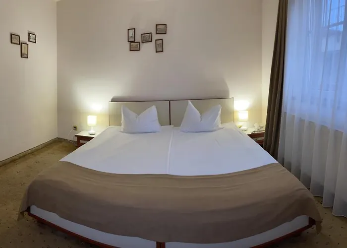 Guest house Pensiunea Luiza