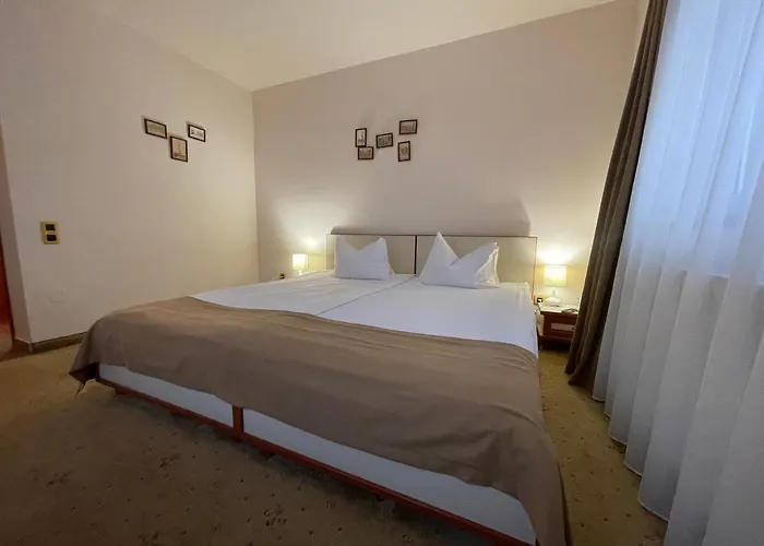 Guest house Pensiunea Luiza Brasov