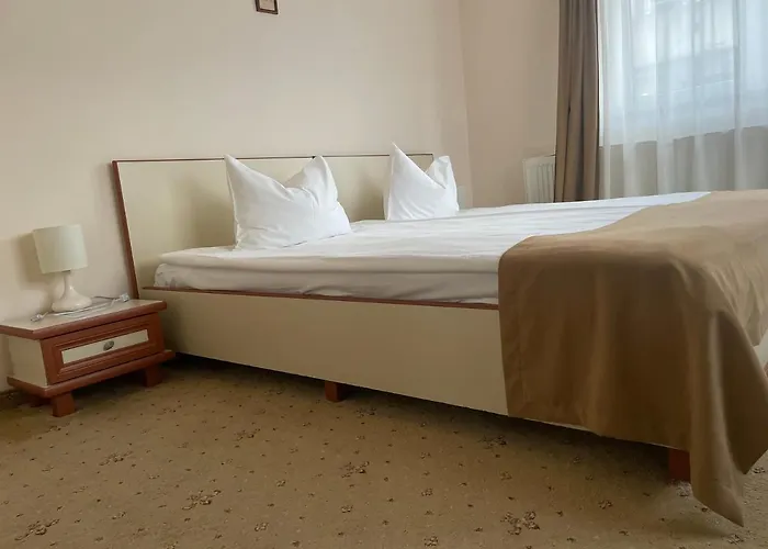 Pensiunea Luiza Brasov