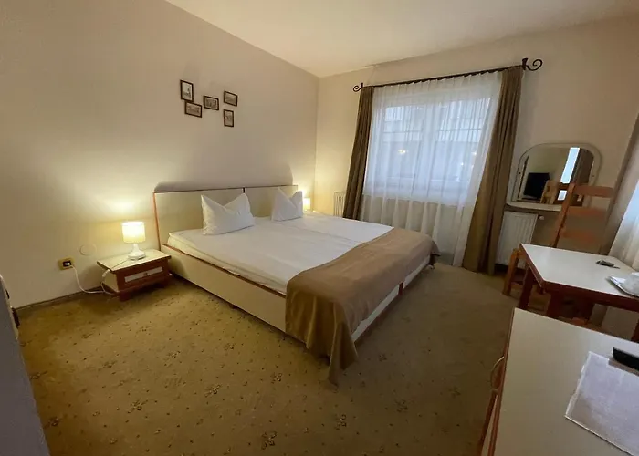 Pensiunea Luiza Maison d'hôtes Braşov