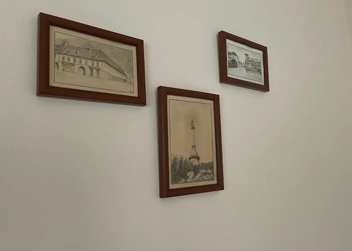 بيت ضيافة Pensiunea Luiza 3*