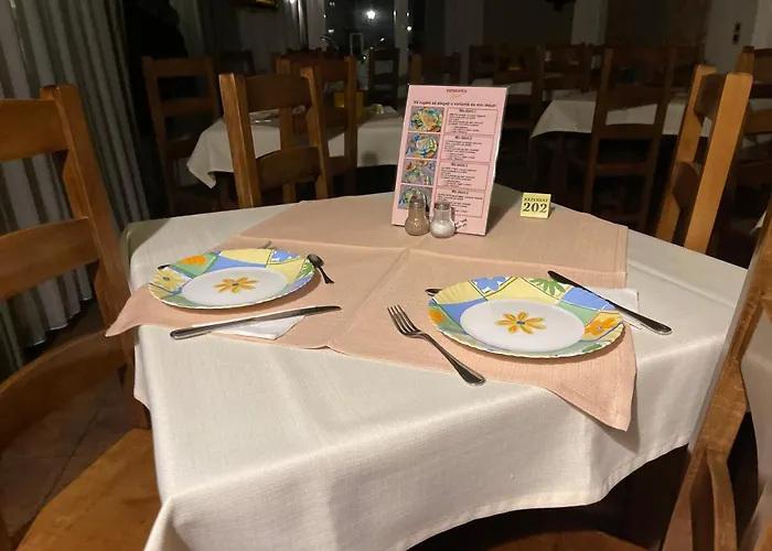 Pensiunea Luiza Guest house Brasov