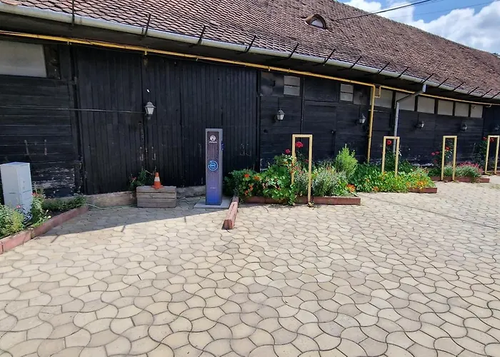 Pensiunea Luiza Guest house Brasov