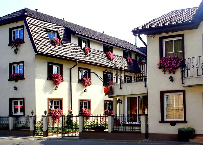 Guest house Pensiunea Luiza 3*