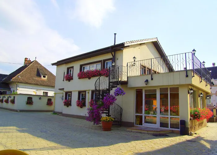 Pensiunea Luiza براشوف