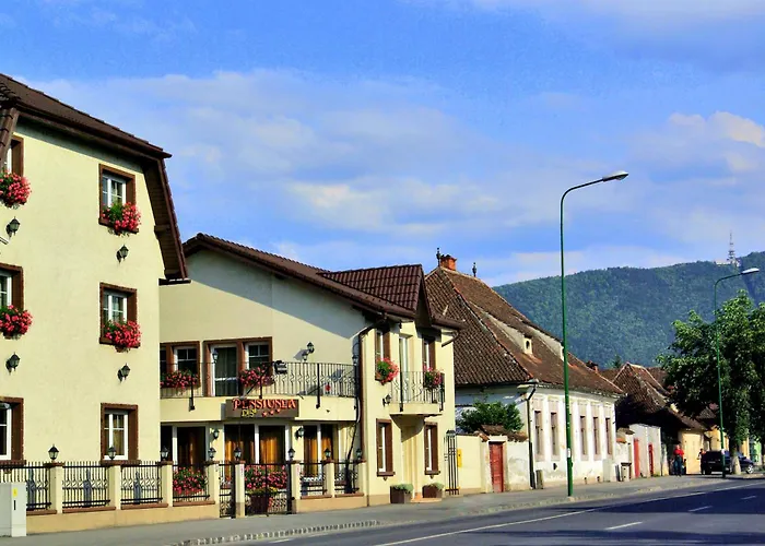 Pensiunea Luiza Brasov