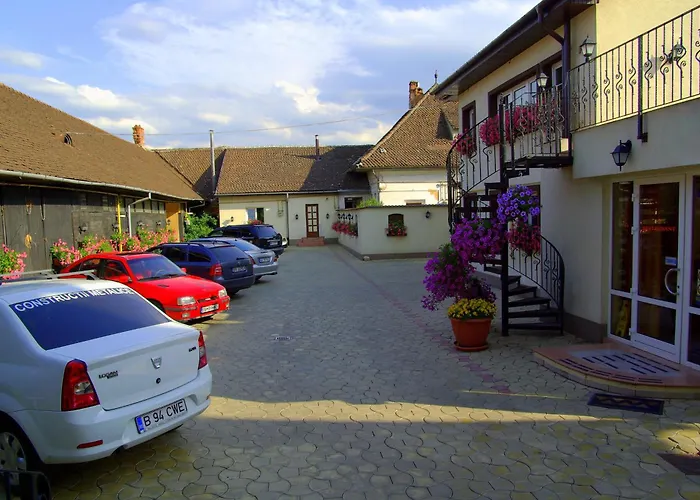 Guest house Pensiunea Luiza 3*