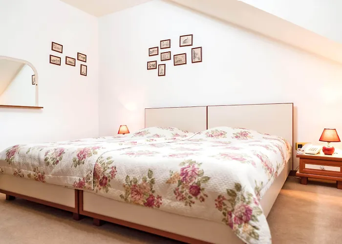 Pensiunea Luiza Guest house