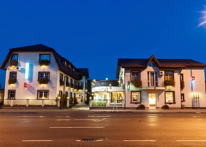 Pensiunea Luiza Guest house 3*