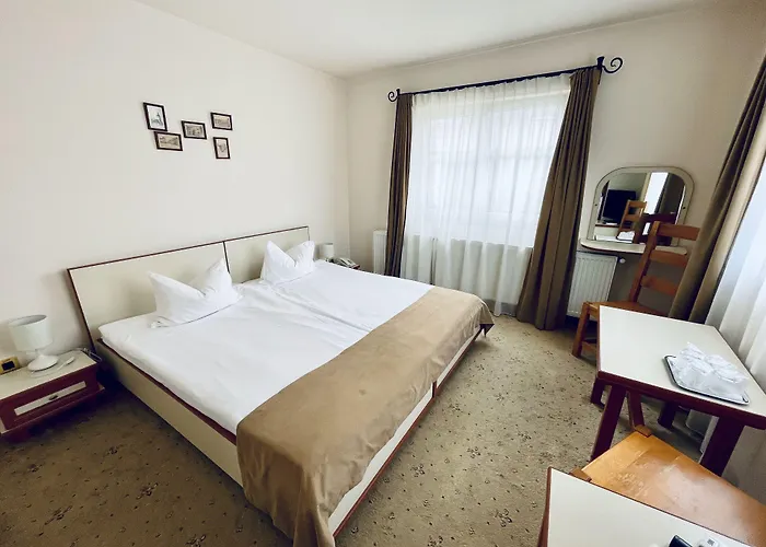 Pensionat Pensiunea Luiza 3*