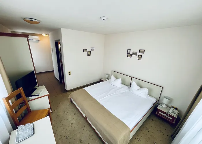 Pensiunea Luiza Guest house 3*