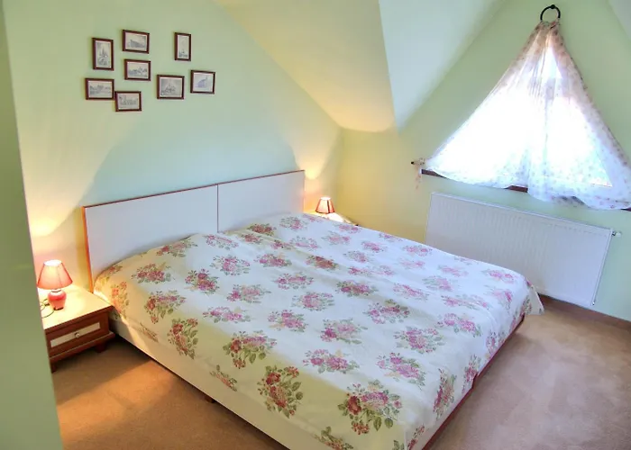 Pensiunea Luiza Guest house