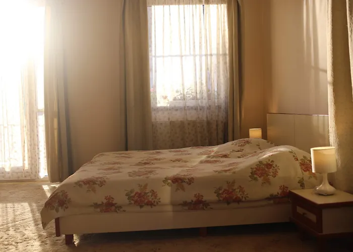 Pensiunea Luiza Brasov