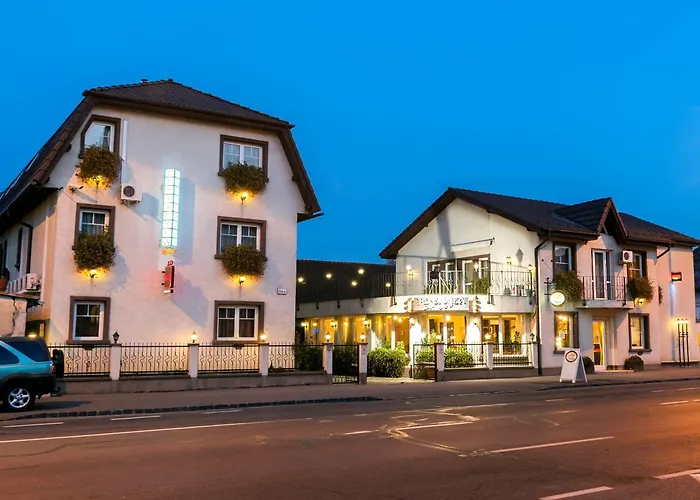 Guest house Pensiunea Luiza 3*