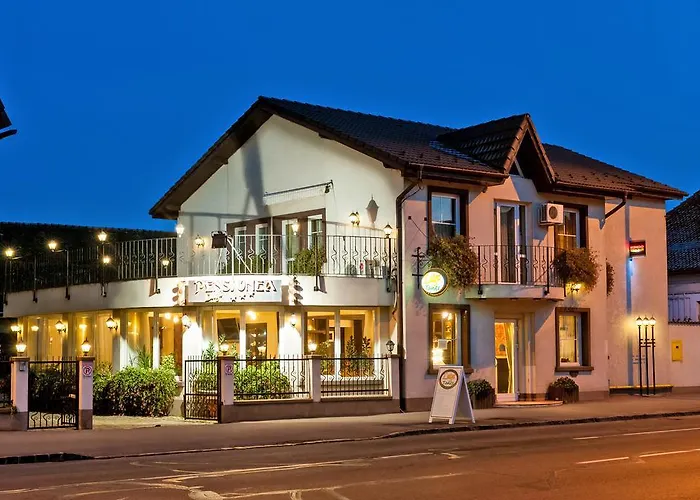 Pensiunea Luiza 3* Brasov