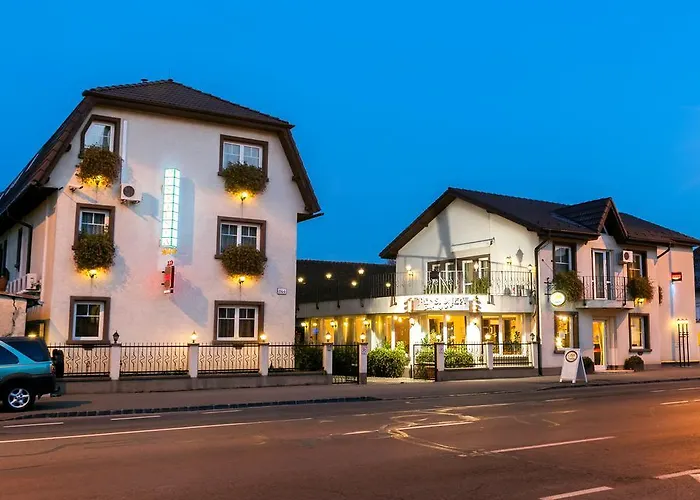 Pensiunea Luiza Guest house